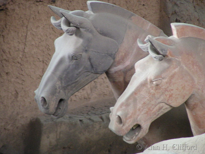 Terracotta horses