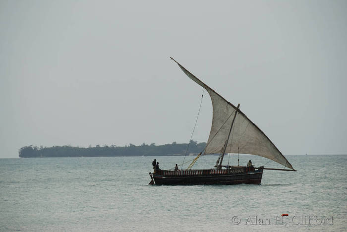 Dhow at Zanzibar