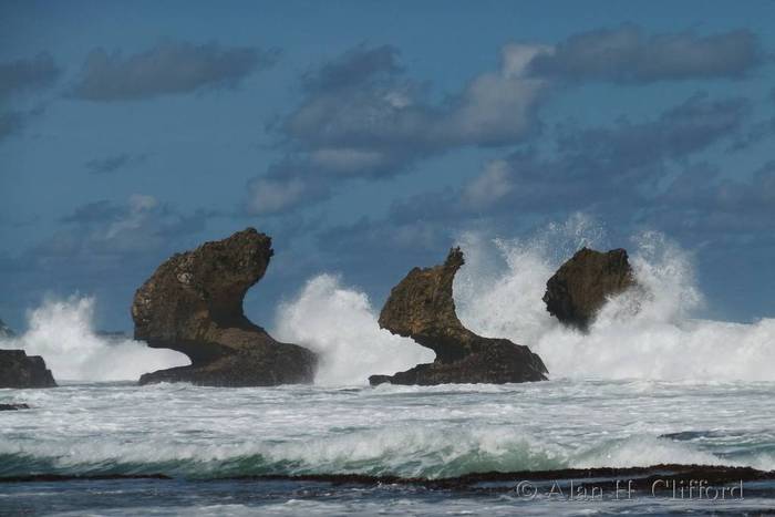 Stacks at Bathsheba