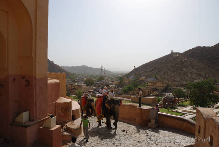 Ascent to Amber Fort on the elephants