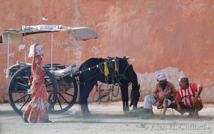 A women passes a horse and cart near the Ghat Gate, Pink City, Jaipur