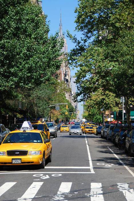 5th Avenue at Washington Square