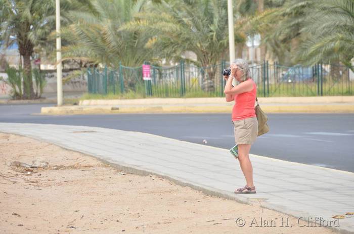 Margaret in Aqaba