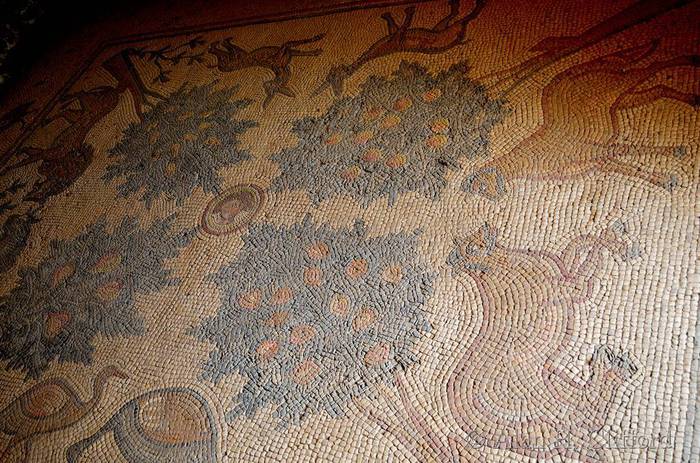 Mosaic at Madaba Museum