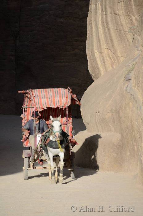 Horse and carriage in the Siq