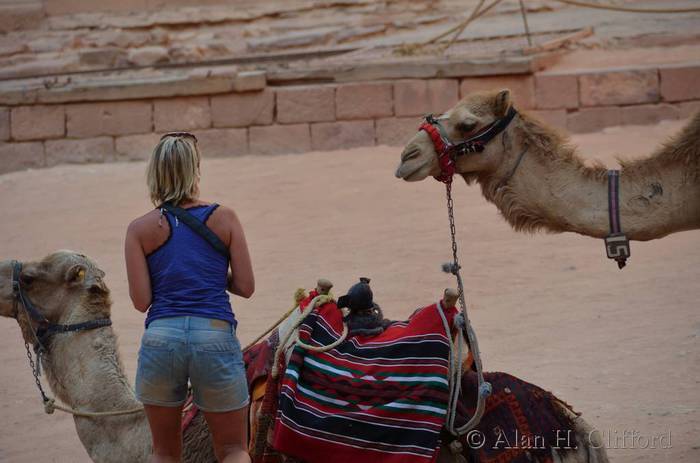 Tourist and camels at the Treasury