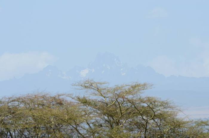 Mount Kenya