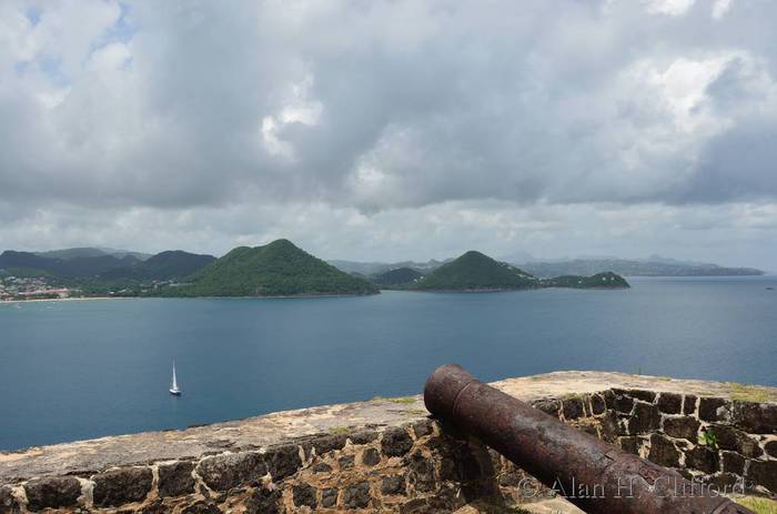 Cannon at Fort Rodney