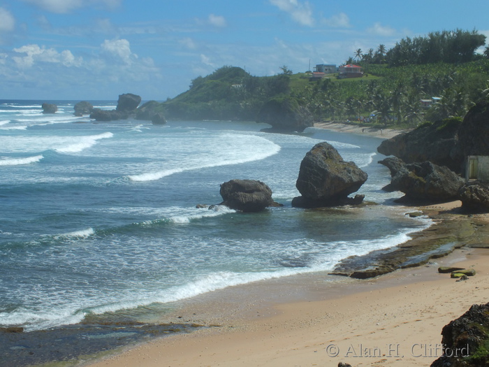 Bathsheba