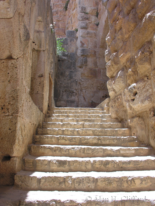 Ajloun Castle