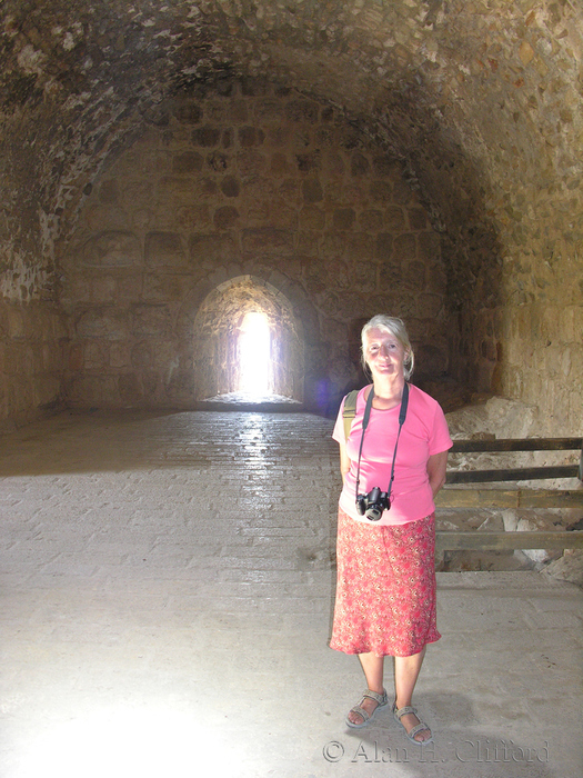 Ajloun Castle