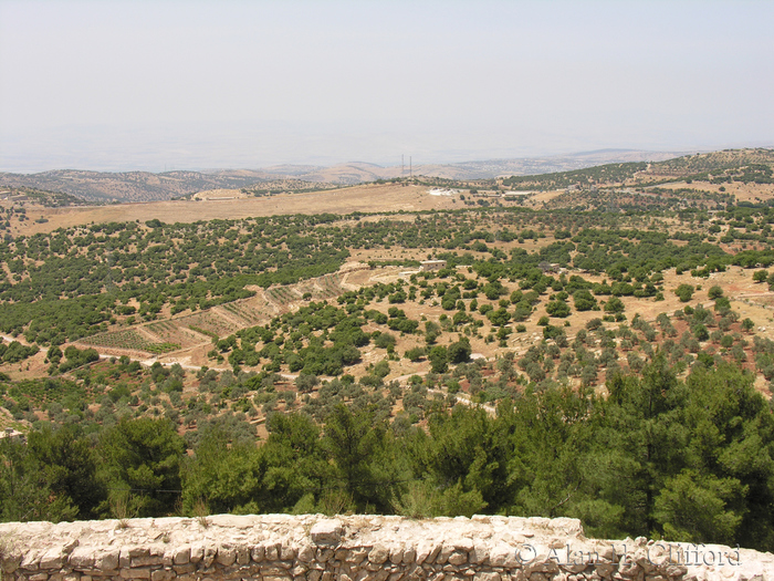 Ajloun Castle