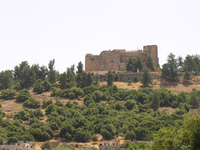 Ajloun Castle