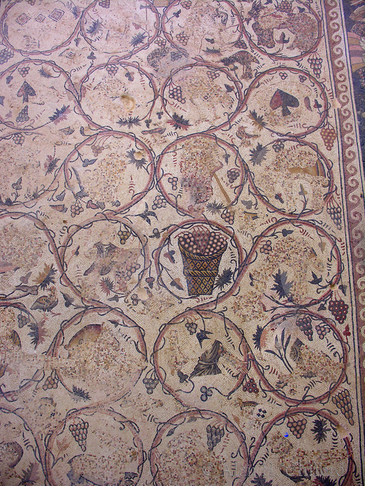 Mosaic at Umm ar-Rasas