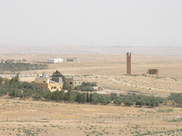 Stylite Tower at Umm ar-Rasas