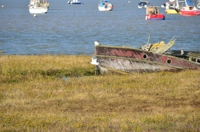 Boat wreck