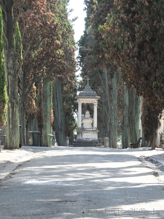 Prazeres Cemetery