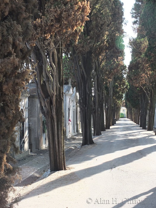 Prazeres Cemetery