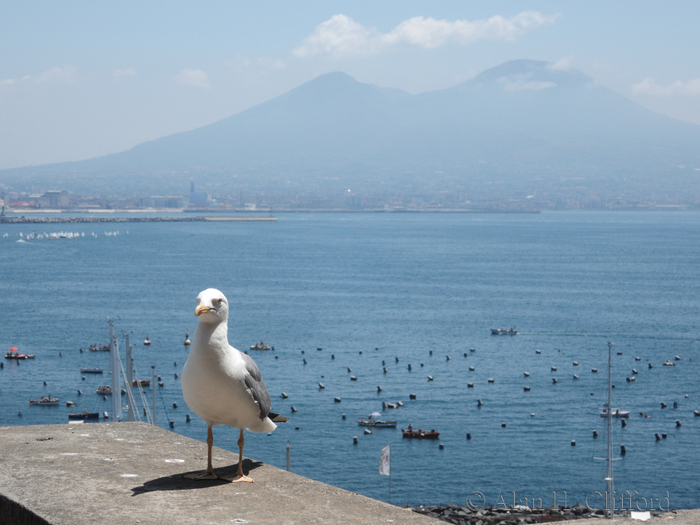 Vesuvius viewed from Castel dell’Ovo