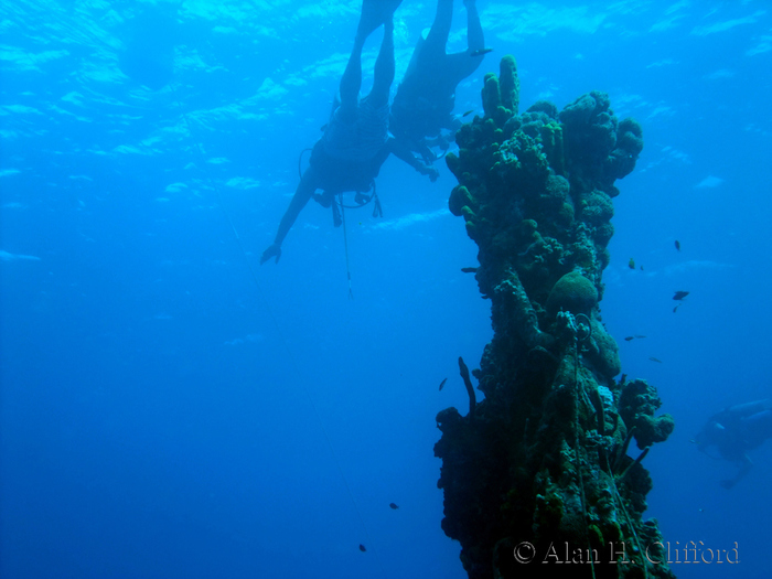 Scuba Diving