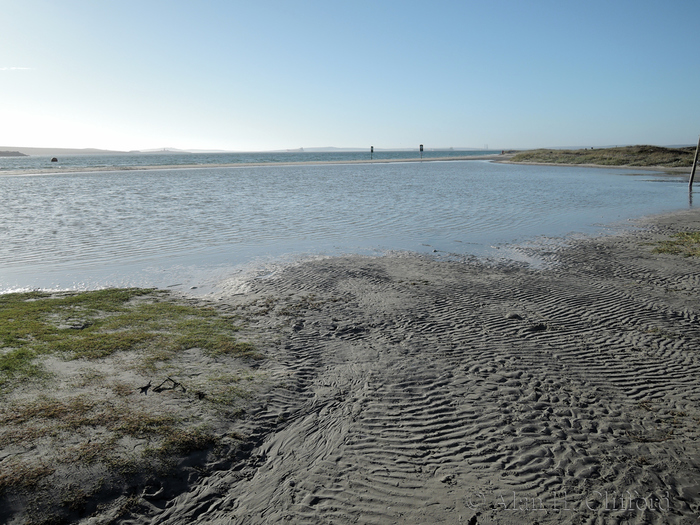 High Tide at Langebaan Lagoon